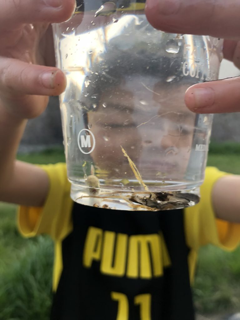 57EF63AB-ED28-4C89-A16B-DCECD56818F5 » 風水ライフデザインスクール